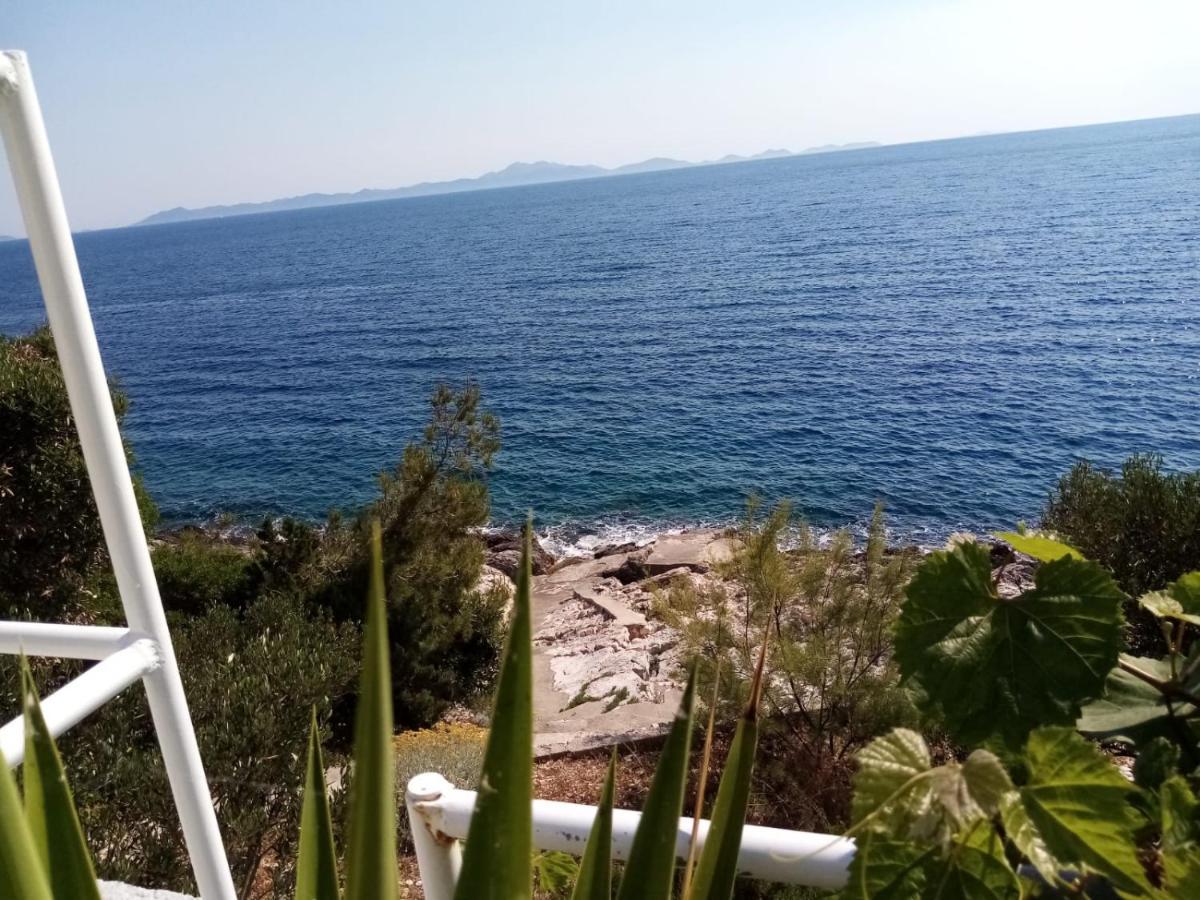 Apartman Laus Zavalatica Kültér fotó